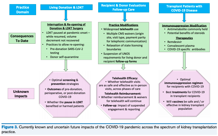 Transplant Practices During the COVID-19 Pandemic